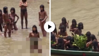 इतकी वर्षे अज्ञात… जगापासून दूर असलेली अमेझॉनची रहस्यमय जमात प्रथमच कॅमेरात कैद, दृश्यांनी सोशल मीडियावर उडवली खळबळ; Video Viral