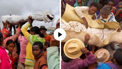 अनोखी परंपरा: नातेवाईकांचा मृतदेह कबरीतून बाहेर काढून त्यांच्यासोबत खेळाला जातो हा भयानक खेळ; अंगाचा थरकाप उडवणारा Video Viral