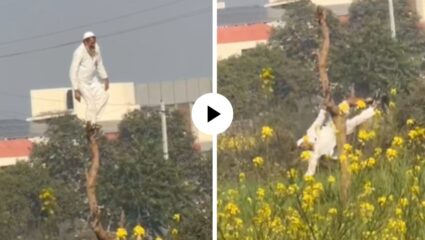 क्या से क्या हो गया! काकांच्या अंगातला रेहमान किडा जागला अन् त्यांनी असं काही केलं की सर्वांच्याच चेहऱ्यावर हसू आलं; Video Viral