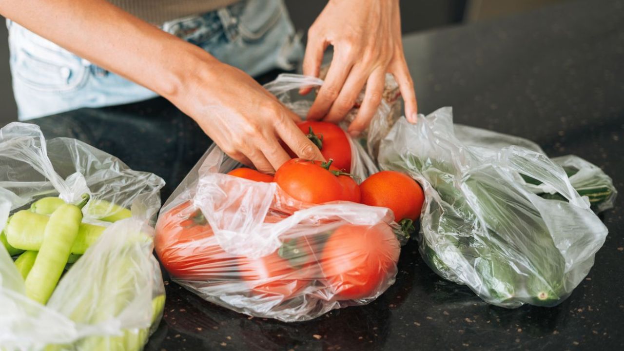 Raigad News: पनवेल शहरातील प्लास्टिक पिशव्या हद्दपार, दुकानदारांना नोटिसा बजावल्या, कडक कारवाई सुरू