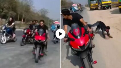 ना पोलिसांचा धाक, ना मरणाची भिती! रहदारीच्या रस्त्यावर बाईक पळवत तरुणांची स्टंटबाजी, VIDEO पाहून येईल संताप