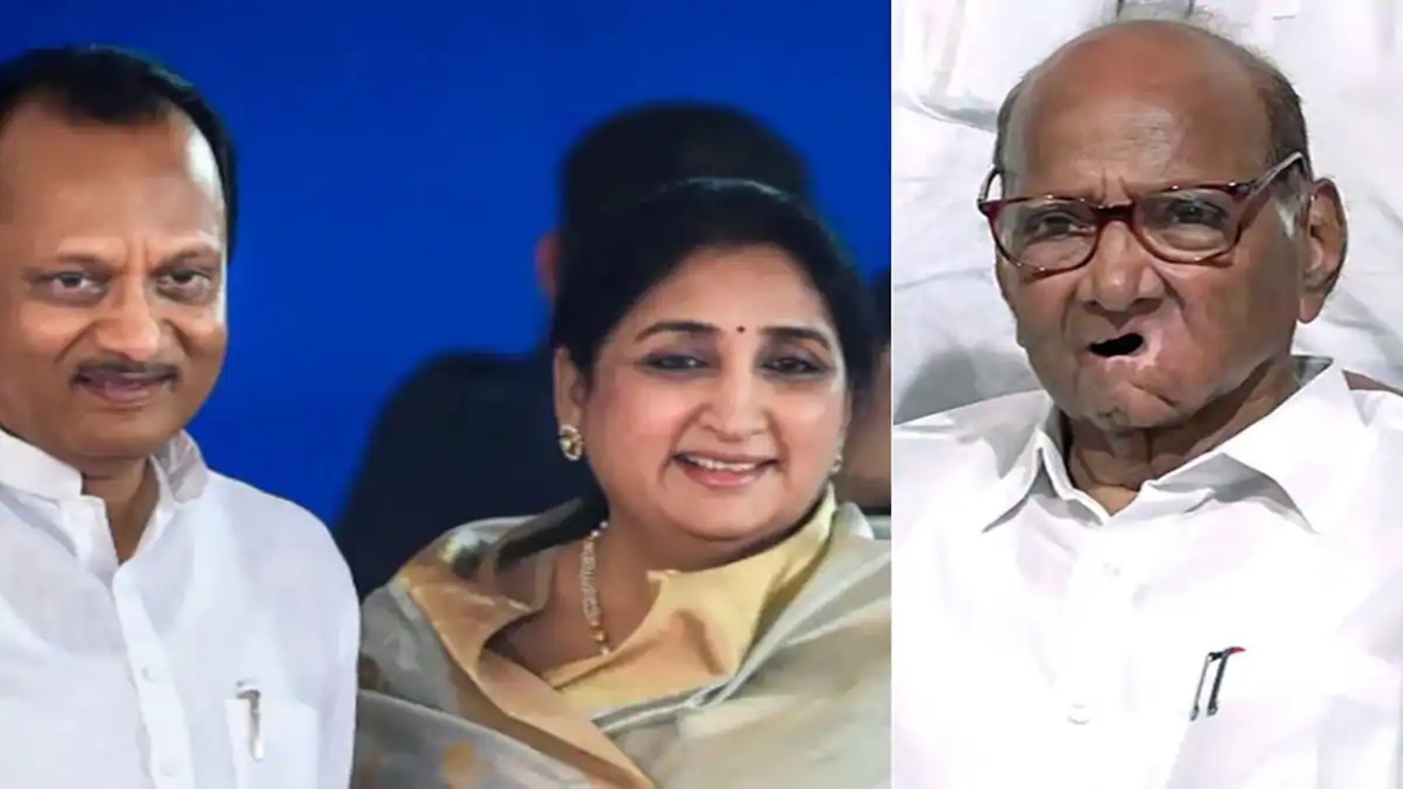 सुनेत्रा पवार उपमुख्यमंत्री होणार! शरद पवार म्हणाले, “मला माहित…” दोन्ही राष्ट्रवादी पक्षांच्या विलीनीकरणाबाबत मोठे विधान