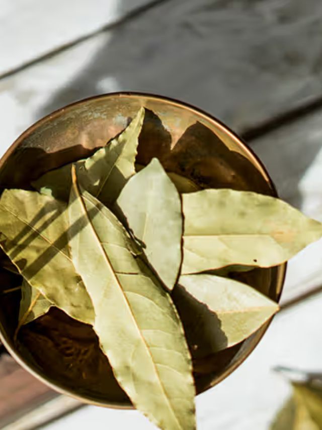 फक्त चवीसाठी 'नव्हे' तर 'या' कारणासाठी जेवणात तेजपत्ता वापरतात