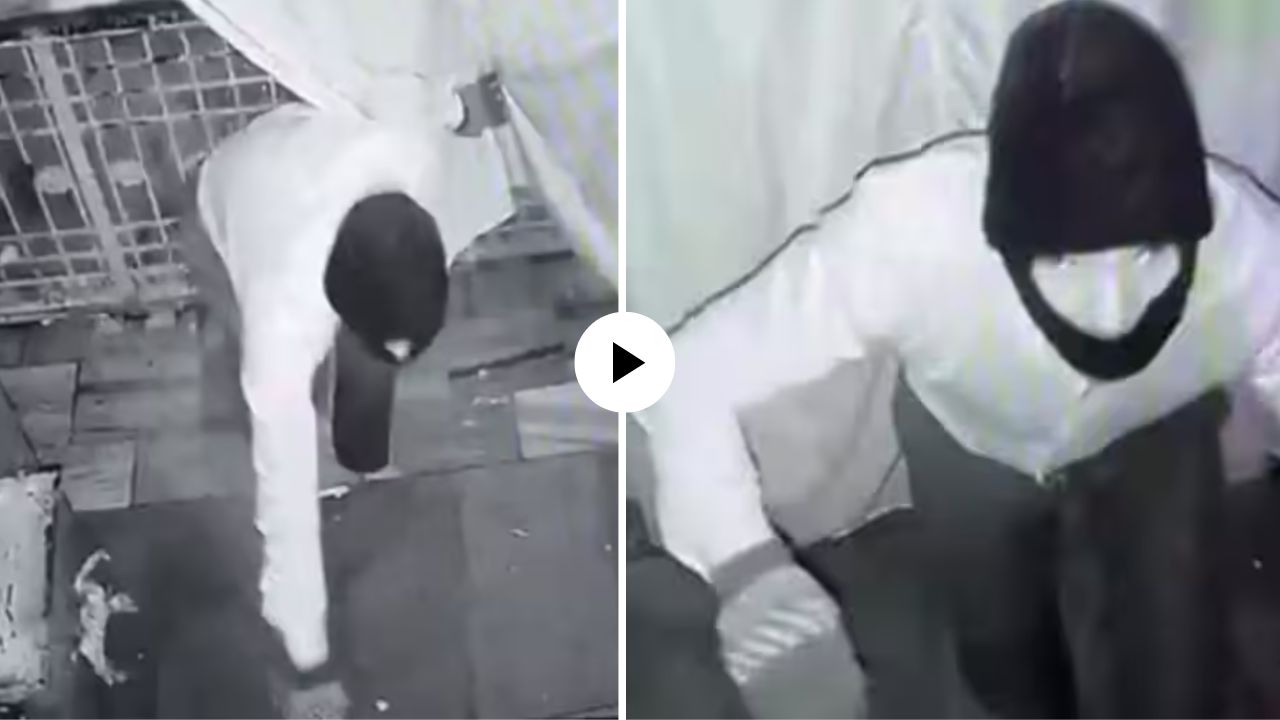 आधी घेतला आशिर्वाद अन् मारला डल्ला; भक्तच बनला चोर, Video तुफान व्हायरल