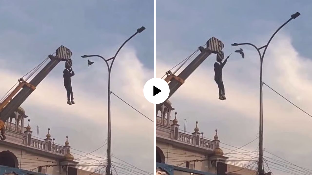 माणुसकी अजूनही जिवंत आहे! तारेत अडकलेल्या पक्ष्याला वाचवण्यासाठी तरुणाने लावली जीवाची बाजी, Video Viral