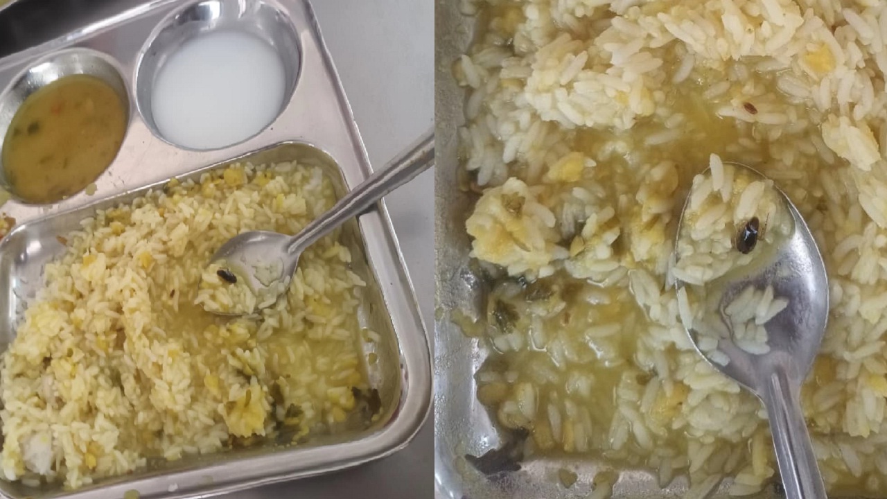 विद्यापीठातील मेसच्या जेवणात आढळला झुरळ; प्रशासनाच्या दुर्लक्षाबाबत विद्यार्थ्यांची नाराजी