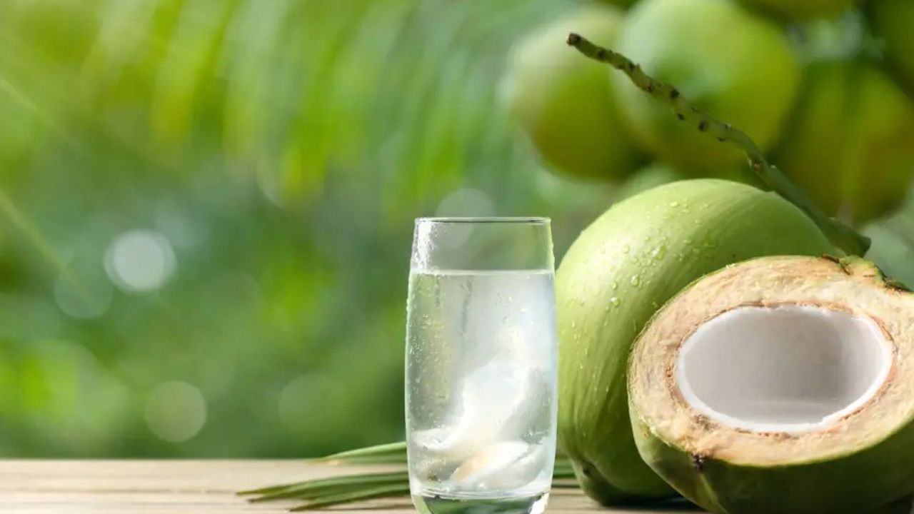  नारळाचं पाणी - शरीराला नैसर्गिक थंडावा देण्याचं काम नारळाचं पाणी करतं. नारळ पाण्यातील गुणधर्मामुळे मुत्रविकाराने आजार होत नाही. शरीरातील अतिक्त उष्णता कमी करण्याचं काम नारळाचं पाणी करतं. 