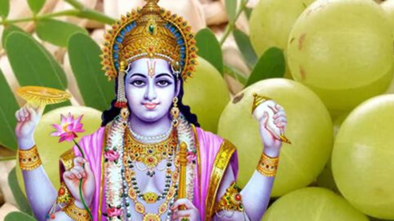 Amlaki Ekadashi: आमलकी एकादशीला आवळ्याच्या झाडाची पूजा का केली जाते? पूजा करण्याचे फायदे जाणून घ्या