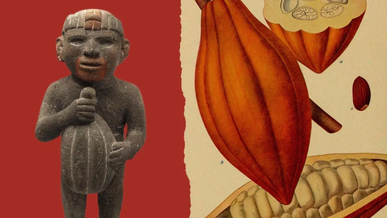 Cacao Currency: ‘या’ संस्कृतीतील लोक चलन म्हणून वापरायचे चक्क ‘कोको बीन्स’; ‘हा’ रंजक इतिहास वाचून नक्कीच व्हाल थक्क