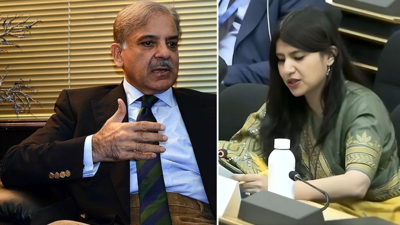 IndiaAtUN: ‘पाकिस्तानच्या कर्जापेक्षा काश्मीरचं बजेट मोठं’, UNHRC मध्ये भारताच्या कन्येने पाकला धुतले; ‘हा’ VIRAL VIDEO एकदा पहाच