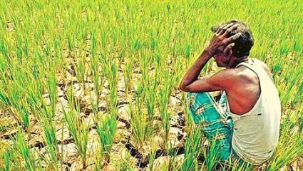 Beed News: १९ मार्चला शेतकरी सहवेदना दिन; शेतकरी आत्महत्याग्रस्त कुटुंबियांना आधार देणाऱ्यांचा सन्मान सोहळा