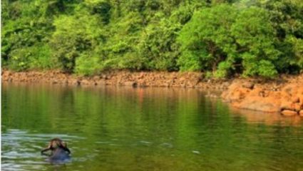 78 वर्षांनंतरही दोन जिल्ह्यांना जोडणारा पूल कागदावर; वैनगंगेच्या पात्रात मृत्यूचा प्रवास