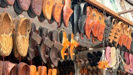 Budget 2026: चामड्याच्या वस्तू स्वस्त होणार, तुमच्या खिशातले किती पैसे वाचणार? वाचा सविस्तर बातमी