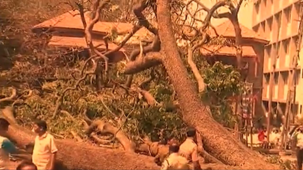 Kolhapur News :  रस्त्यावर झाडं कोसळल्याने एका पोलीस कर्मचाऱ्यासह दोघं जखमी