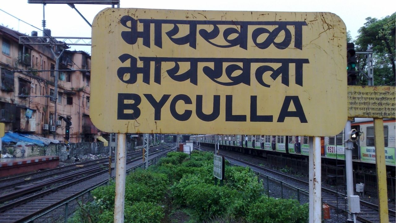 Mumbai News: भायखळा रेल्वे स्थानकाच्या शौचालयात रक्ताच्या थारोळ्यात सापडली विद्यार्थिनी; काय घडलं नेमकं?