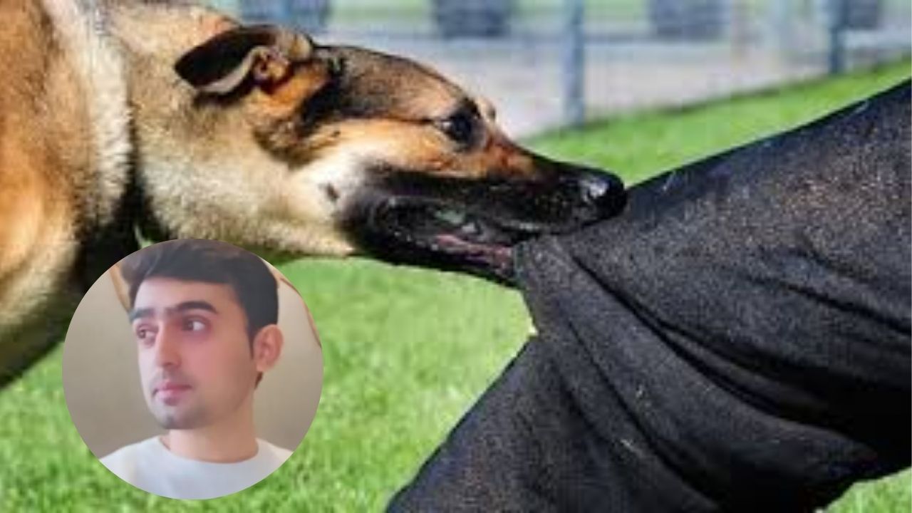 Kalyan News: श्वान चावल्यानंतर रेबिजच्या भीतीतून बँक कर्मचाऱ्याची आत्महत्या; सुसाईड नोट सापडली