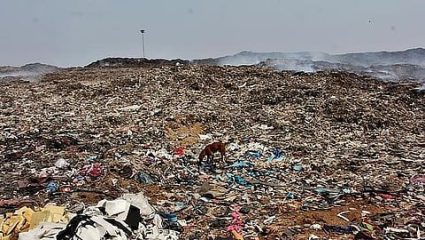 Navi Mumbai Municipal Corporation: कचऱ्यापासून वीजनिर्मिती प्रकल्पास मंजुरी; नवी मुंबईच्या कचरा प्रश्नावर कायमस्वरूपी निघाला तोडगा