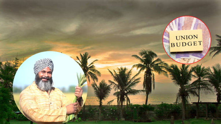 Farmers Budget 2026 Live: नारळाची शेती अन्...; बजेटमध्ये शेतीला 'हे' मिळालं, वाचा प्रमुख मुद्दे