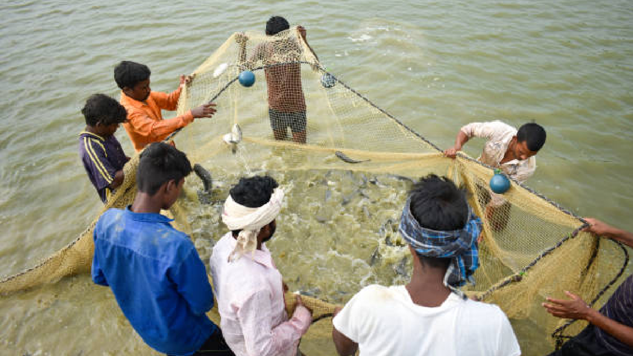 Ratnagiri News: मत्स्य व्यवसायाला हवामान बदलाचा फटका; भाव २५-३० टक्क्यांनी वाढले
