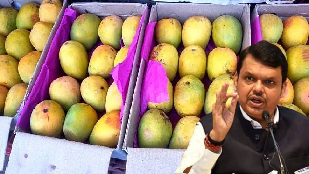 आंबा-काजू हंगामात शेतकऱ्यांचे नुकसान; मुख्यमंत्री फडणवीसांनी दिले ‘हे’ महत्वाचे निर्देश