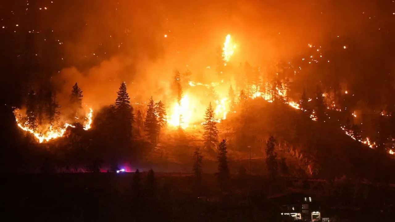 Konkan चा ‘वणवा’ विधानसभेत; शेतकऱ्यांना दिलासा देण्याची आमदार निकमांची मागणी