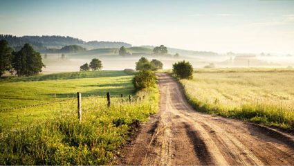 Maharashtra News : निजामकालीन शेतरस्ता गायब; बनावट नकाशाने रस्ता केला गायब? ग्रामस्थांचा प्रशासनावर आरोप