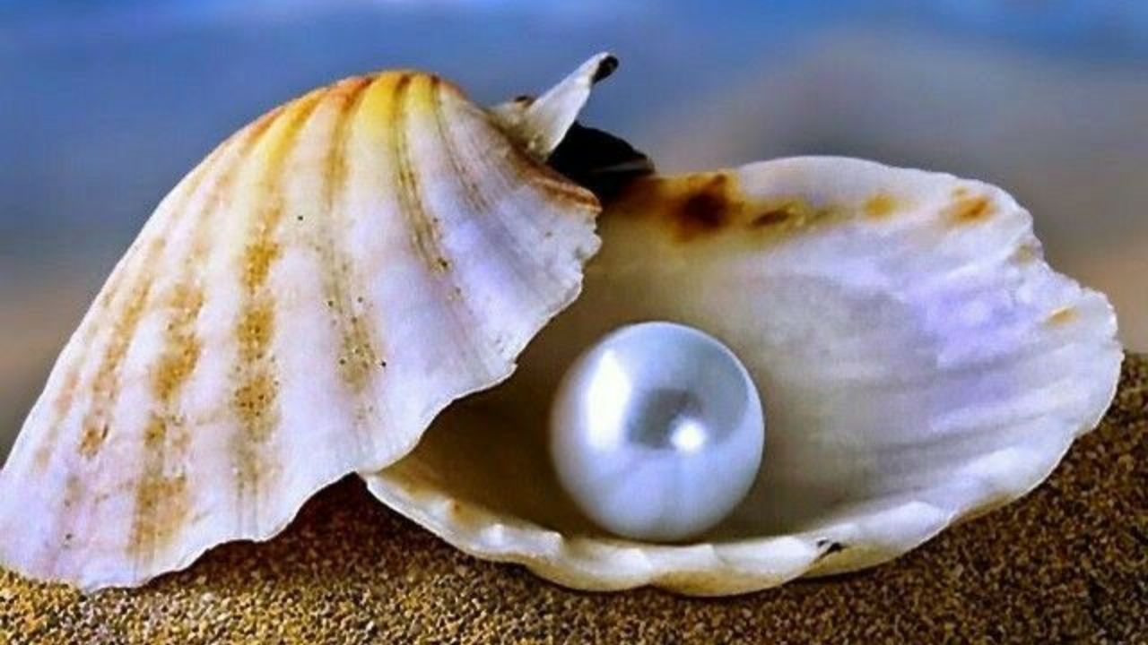 Pearl Wearing Benefits: मोती परिधान केल्याने या लोकांचे बदलते नशीब, संपत्ती आणि समृद्धीत होते वाढ