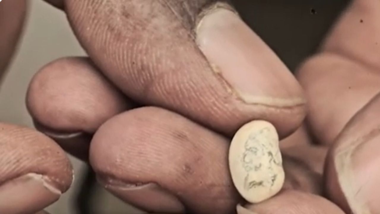 Pimpri Chinchwad :  लहान वस्तूंवर साकारल्या शिवरायांच्या सूक्ष्म मनोहारी प्रतिमा