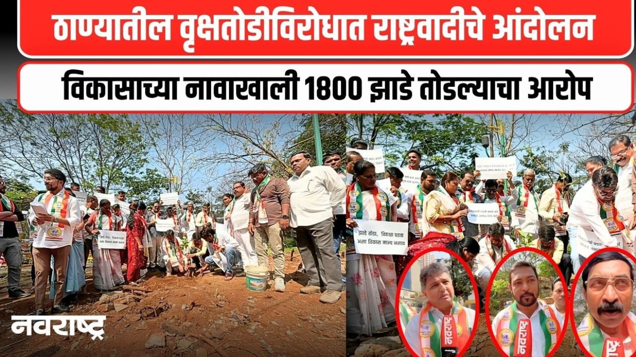 Thane News  : ठाण्यातील वृक्षतोडीविरोधात राष्ट्रवादी आक्रमक