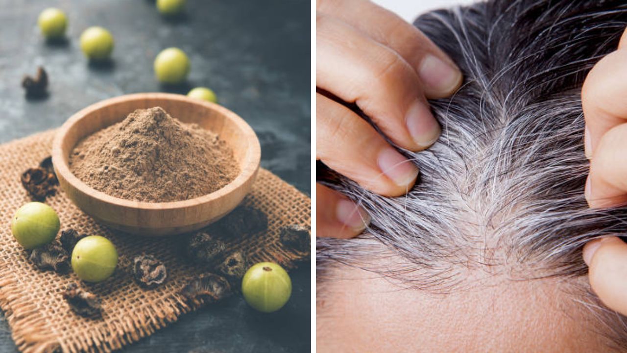 तरुण वयात केस पांढरे झाल्यानंतर हेअर डाय लावण्याऐवजी सुकलेल्या आवळ्याचा ‘या’ पद्धतीने करा वापर, केस होतील काळेभोर