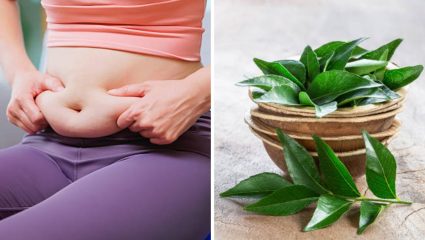 पोटाची सुटलेली ढेरी कमी करण्यासाठी नियमित करा कढीपत्त्याचे सेवन, महिनाभरात शरीरात दिसून येतील असंख्य बदल