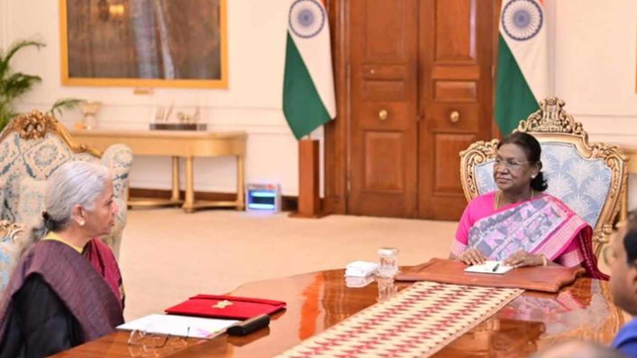 बजेट दरम्यान राष्ट्रपतींनी नेसलेल्या साडीवर हत्ती आणि हत्तीची अंबारी होती. तसेच या साडीवर वारली कलेचा नमुना सुद्धा दिसू येतो. त्यांनी गुलाबी आणि राखाडी रंगातील साडी नेसली होती. 