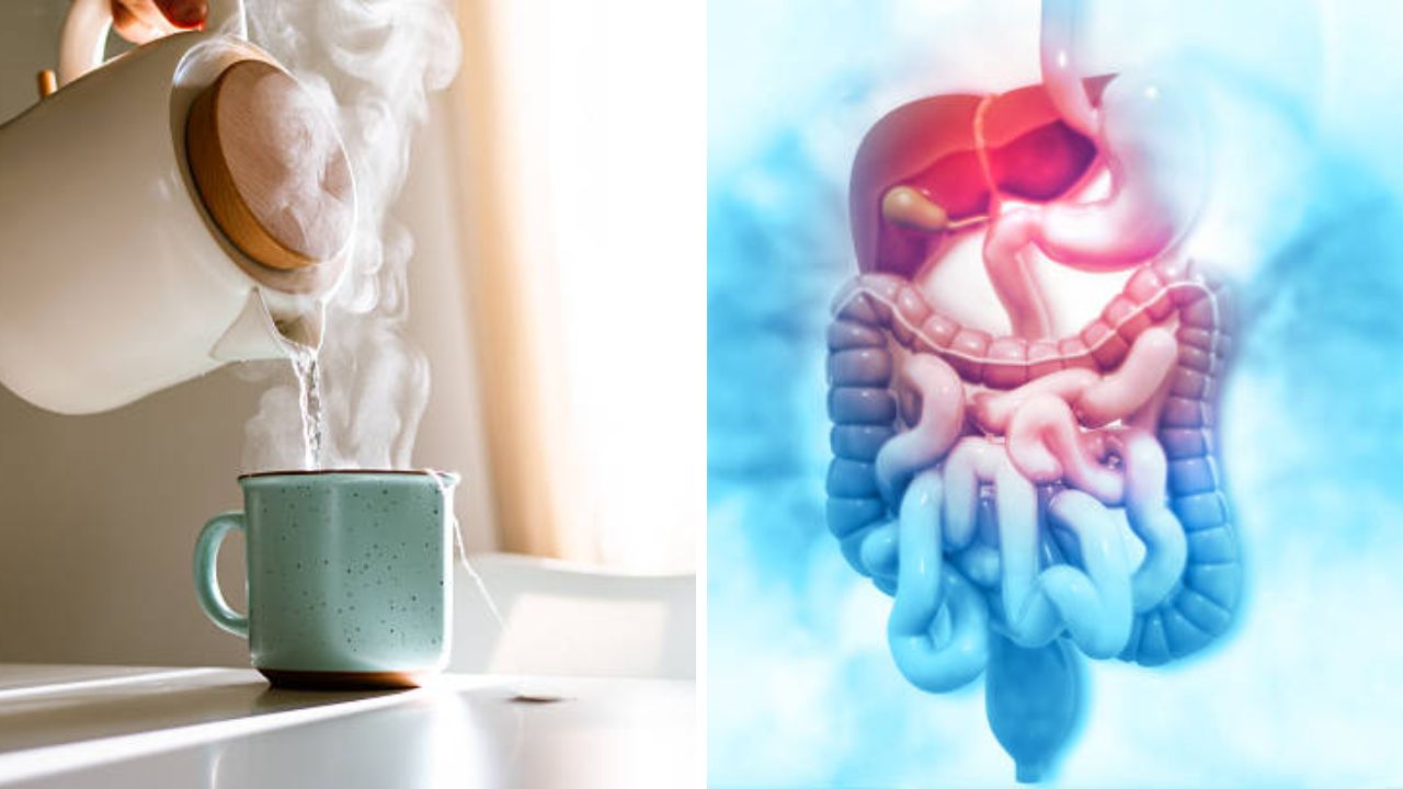 आतड्यांमध्ये कुजलेल्या घाणीमुळे पोटात अस्वस्थपणा जाणवतो? पोट स्वच्छ करण्यासाठी सकाळी उठल्यानंतर करा ‘हे’ काम