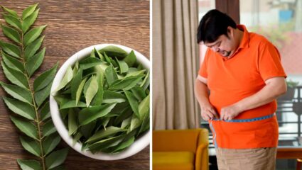 सुटलेल्या पोटामुळे कंबरेचा भाग जाड दिसतो? नियमित चावून खा हिरव्यागार कढीपत्त्याची पाने, महिनाभरात दिसतील बदल