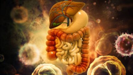 आतड्यांमध्ये कुजलेली घाण होईल स्वच्छ! नियमित करा ‘या’ पदार्थांचा आहारात समावेश, तयार होतील चांगले बॅक्टेरिया