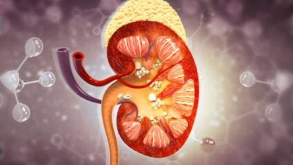 Health Care Tips: किडनी स्टोन असलेल्या व्यक्तींनी चुकूनही खाऊ नका ‘हे’ पदार्थ! पोटात वाढतील असह्य वेदना