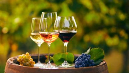 वाईन पिणे खरंच आरोग्यासाठी चांगली आहे का? जाणून घ्या यामागील सविस्तर कारणे