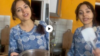 सामान्यांना झोंबली बजेटची मिरची! रिलस्टारने अर्थमंत्र्यांना केले खतरनाक ट्रोल, VIDEO तुफान व्हायरल