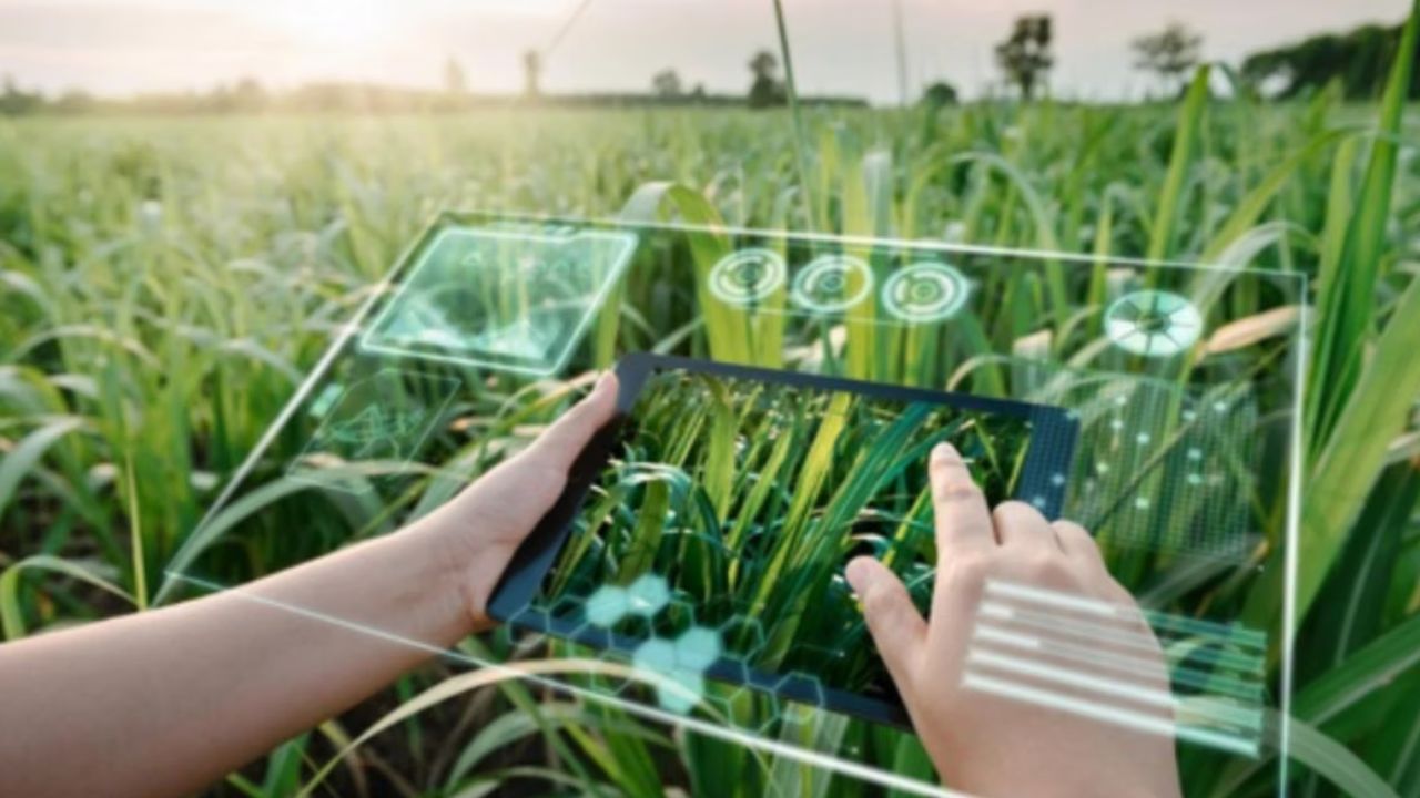 Farmers News : एआय कृषी क्षेत्रासाठी परिवर्तनकारी साधन; इन्फोसेस कंपनीने दिली कौतुकाची थाप