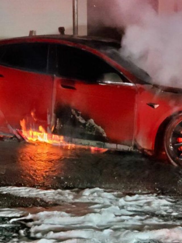 कोणत्या कारणामुळे EV लगेच पेट घेऊ शकते?