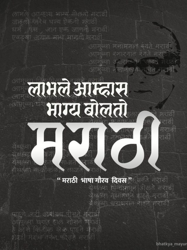 वऱ्हाडी ते झाडीबोली; मराठी बोलीभाषांचे प्रकार