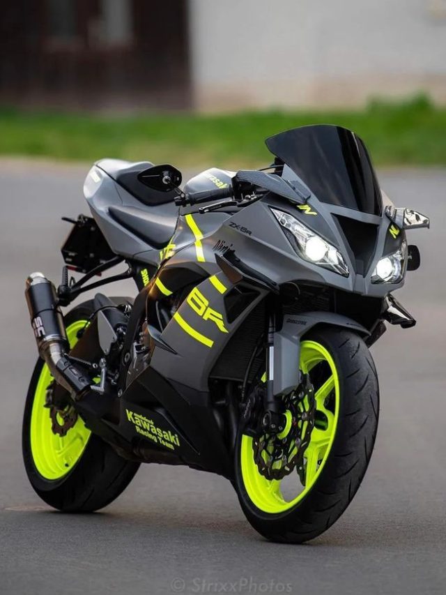 ट्रॅक्टरचा जिगरा, परफॉर्मन्स तगडा; Kawasaki Ninja 300