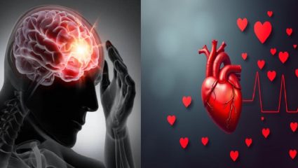 हृदय निरोगी तरच मेंदू सुरक्षित, अन्यथा…; तज्ज्ञांनी दिला गंभीर इशारा