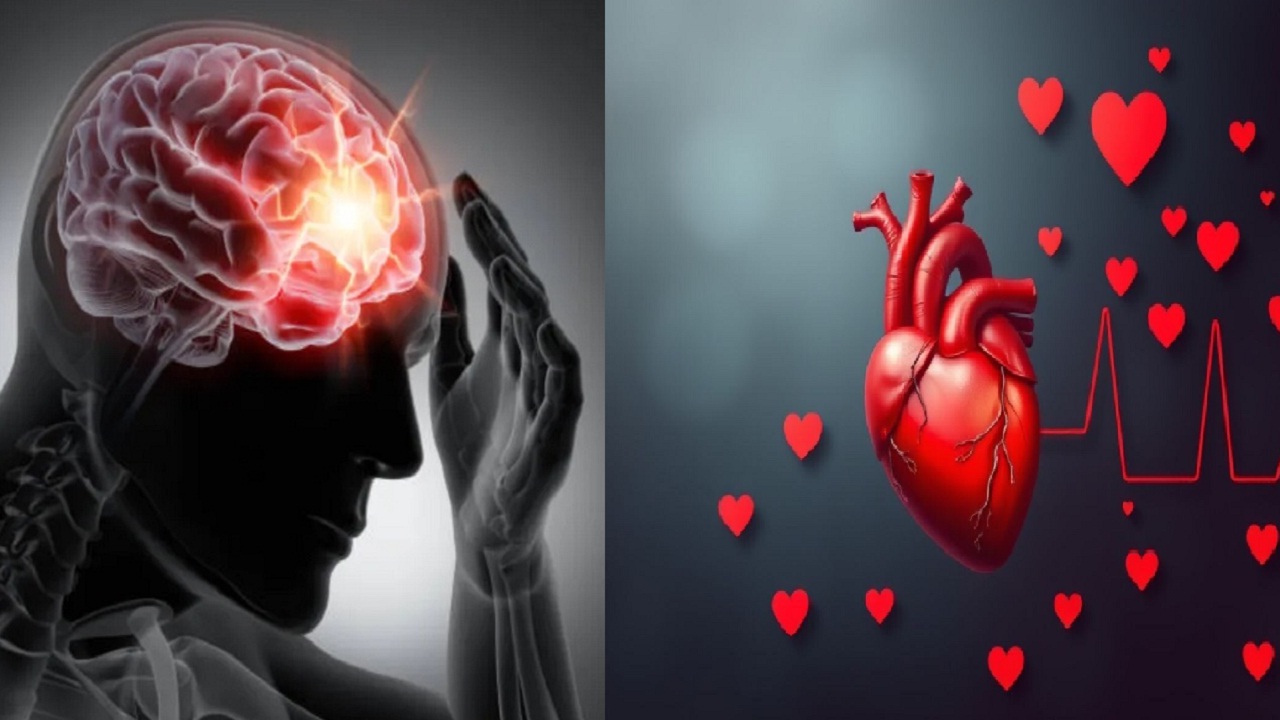 हृदय निरोगी तरच मेंदू सुरक्षित, अन्यथा…; तज्ज्ञांनी दिला गंभीर इशारा