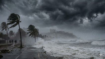 IMD Alert:  260 किमी वेगाने विनाश जवळ येतोय! महावादळाची सावली, मुसळधार पाऊस अन् धुक्याचा वर्षाव; IMD ने ‘या’ राज्यांना दिला अलर्ट