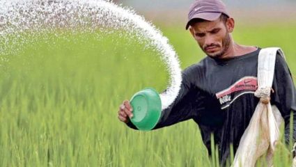 Ahilyanagar News: जामखेडमध्ये युरिया खताचा काळाबाजार! शेतकऱ्यांच्या खिशाला दुहेरी कात्री