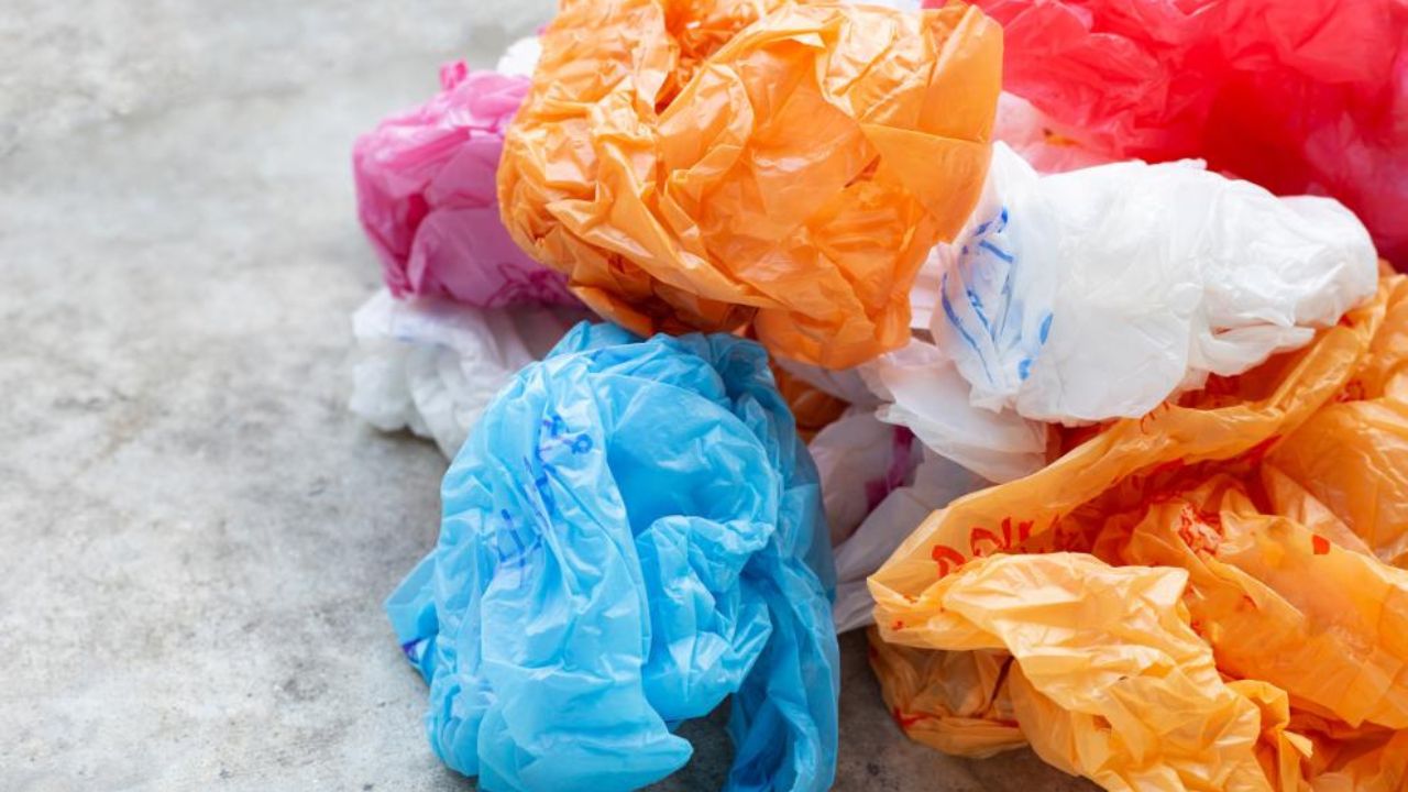 Kolhapur News : “प्लास्टिक नव्हे, कापडी पिशवी द्या ;शहर प्लास्टिकमुक्त करण्यासाठी सहकार्य करा”- नगराध्यक्षा मनीषा डांगे