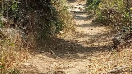 Kolhapur : अतिक्रमणामुळे रस्ते बंद; स्थानिक राजकारणामुळे शेतकऱ्यांची अडवणूक