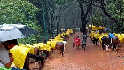Matheran News : घोड्यांबाबत हरित लवाद संघटनेचा आक्षेप; सुनावणीसाठी आठवड्याचा कालावधी
