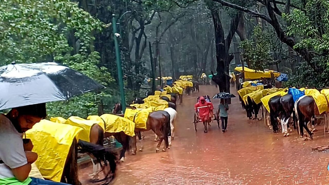 Matheran News : घोड्यांबाबत हरित लवाद संघटनेचा आक्षेप; सुनावणीसाठी आठवड्याचा कालावधी